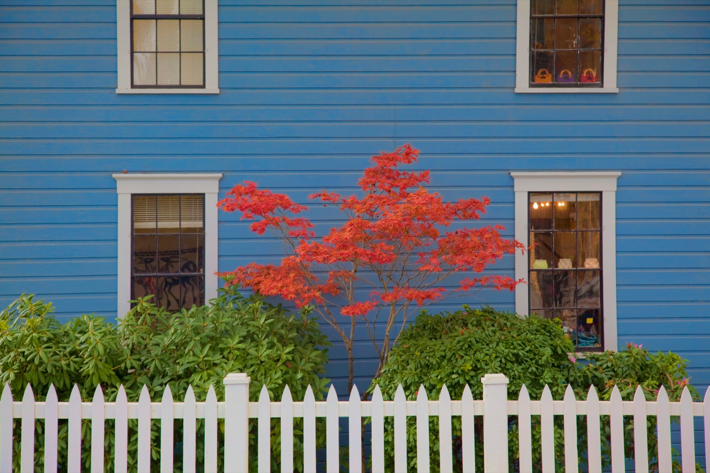 Classic blue Cape Cod home with a white picket fence